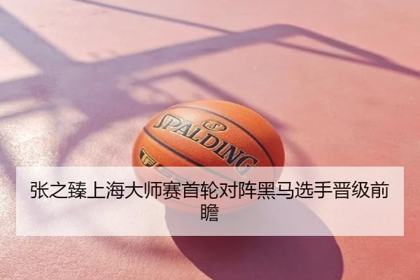 张之臻上海大师赛首轮对阵黑马选手晋级前瞻